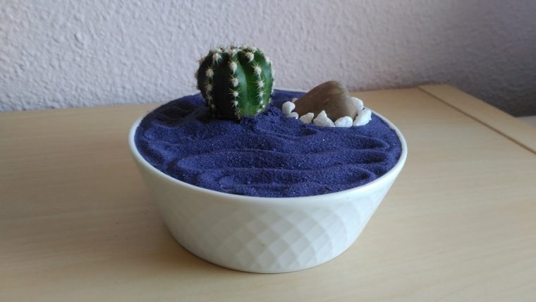 Mini Jardín Zen | Decoración Cactus avec Jardin Cactus Miniature