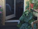 Mini Potager : Quels Légumes Planter Sur Votre Balcon ... à Jardin Potager De Balcon