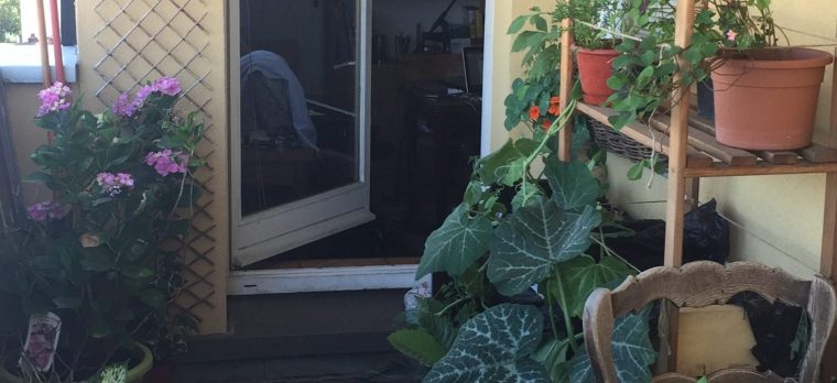 Mini Potager : Quels Légumes Planter Sur Votre Balcon … à Jardin Potager De Balcon