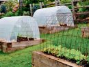 Mini Serres | Jardins, Idées Jardin Et Amenagement Jardin pour Petites Serres De Jardin