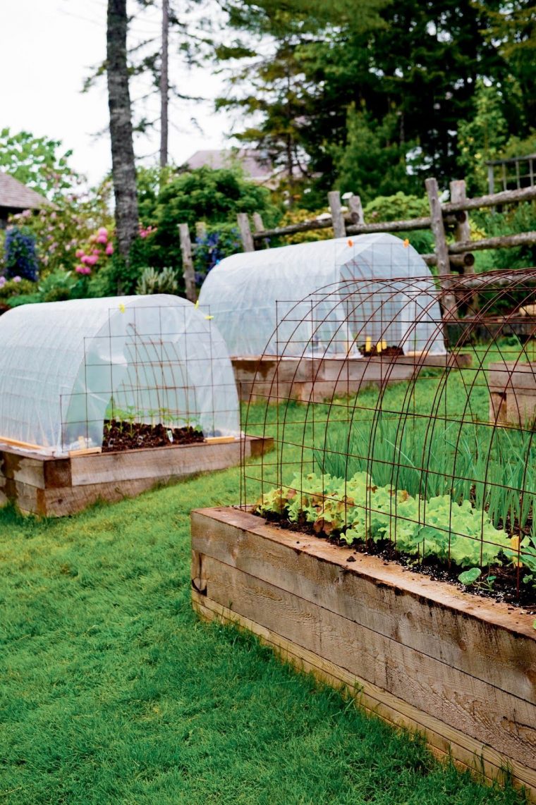 Mini Serres | Jardins, Idées Jardin Et Amenagement Jardin pour Petites Serres De Jardin