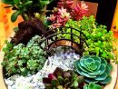 Miniature Succulent Garden With Bridge By Cornell Farm ... encequiconcerne Jardin Cactus Miniature