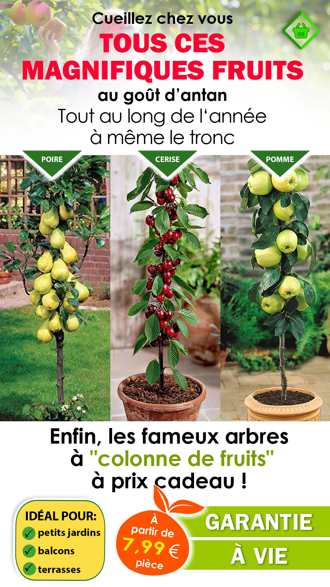 Monarbrefruitier | Commande En Ligne destiné Quel Arbre Fruitier Pour Petit Jardin