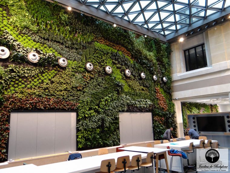 Mur Végétal, Jardin Vertical : Les Technologies Des Murs … intérieur Bonne Terre Pour Jardin