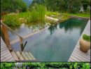 Natural Swimming Ponds, Also Called Natural Pools, Are A ... avec Accessoires Pour Bassin De Jardin