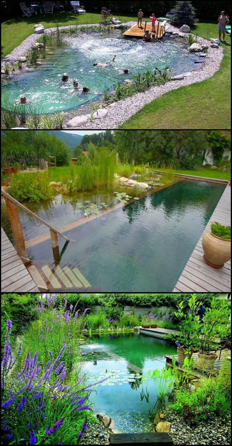 Natural Swimming Ponds, Also Called Natural Pools, Are A … avec Accessoires Pour Bassin De Jardin