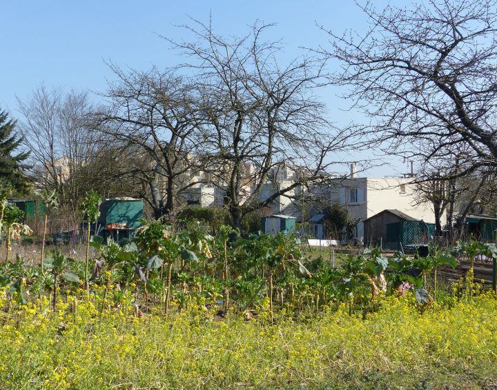 Nature En Ville À Cergy-Pontoise | De La Sciure Pour Le Jardin concernant Copeaux De Bois Jardin