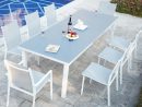 Niari 8 : Table De Jardin Extensible 8 Personnes Avec 2 Fauteuils Et 6  Chaises En Aluminium pour Table Et Chaise De Jardin En Aluminium
