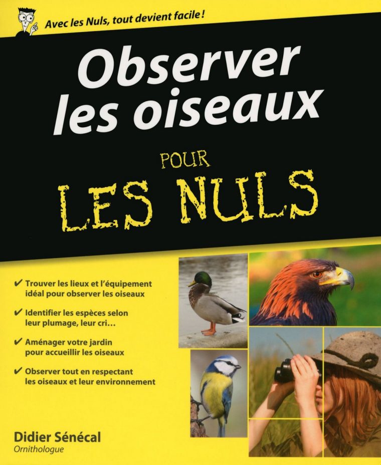 Observer Les Oiseaux Pour Les Nuls Ebooks By Didier Senecal – Rakuten Kobo dedans Le Jardin Pour Les Nuls