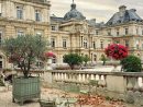 Ouiouijespeakfranglais™ On Instagram: “📍jardin Du ... intérieur Jardin De Luxembourg Hotel