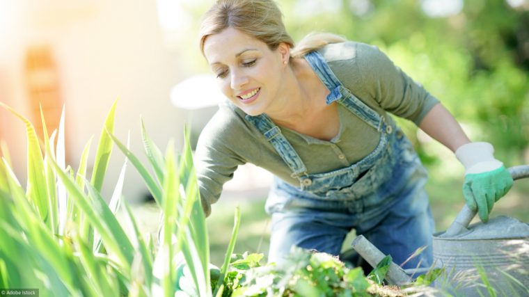Outils De Jardin – Conseils En Plantation – Agenda Du … à Faire Un Jardin Pour Les Nuls