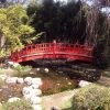 Ouvrage D'art Bois Extérieur Structure Sur Mesure | Sle concernant Pont En Bois Pour Jardin