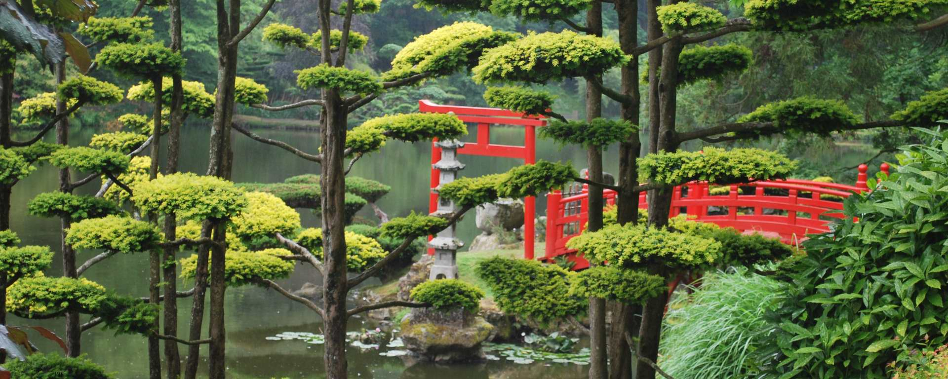 Parc Oriental De Maulévrier - Jardin Japonais : Sommaire ... concernant Plante Jardin Japonais