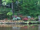 Parc Oriental De Maulévrier - Jardin Japonais : Sommaire ... pour Plante Jardin Japonais