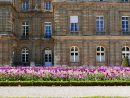 Paris Photos: Jardin Du Luxembourg – Cara Sharratt Travel concernant Jardin De Luxembourg Hotel