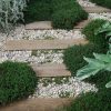 Pas Japonais En Planches De Bois Et Gravier Concassé Et ... intérieur Idee Deco Jardin Gravier