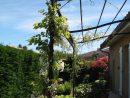 Pergola Ferronnerie D'art Sourrouille Toulouse | Garden En ... destiné Tonnelle Métallique Jardin