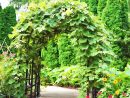 Pergola, Tonnelle Et Arche De Jardin | Jardins-Animes concernant Arche Pour Jardin