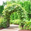Pergola, Tonnelle Et Arche De Jardin | Jardins-Animes encequiconcerne Arche De Jardin En Bois