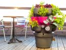 Permaculture : Comment Cultiver Son Potager Bio Sur Son Balcon ? pour Faire Un Jardin Sur Son Balcon