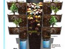 Permaculture : Comment Cultiver Son Potager Bio Sur Son Balcon ? tout Jardin Potager De Balcon