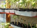 Permaculture, Une Nouvelle Façon De Jardiner, Écologie ... destiné Faire Un Jardin Pour Les Nuls