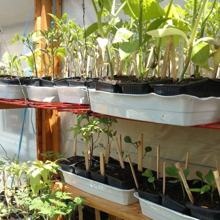 Permaculture, Une Nouvelle Façon De Jardiner, Écologie … destiné Faire Un Jardin Pour Les Nuls