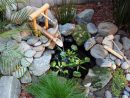 Petits Bassins D'arrière-Cour Et Fontaines | Fontaine Bambou ... à Faire Un Jardin Japonais Facile