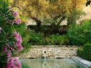 Pierre Bergè's Garden In Provence | Jardin D'eau, Jardin ... intérieur Bassin De Jardin En Pierre