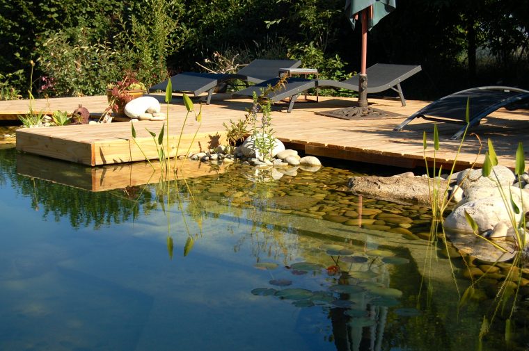 Piscine Naturelle : Principe Et Prix encequiconcerne Prix D Un Bassin De Jardin