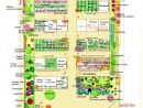 Plan De Jardin Potager Des Idées - Idees Conception Jardin dedans Plan Jardin Potager Bio