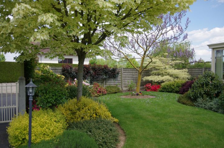 Plante Pour Jardin – Aménagement De Jardin | Paysages Conseil concernant Exemple D Aménagement De Jardin
