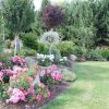 Plante Pour Jardin - Aménagement De Jardin | Paysages Conseil serapportantà Exemple D Aménagement De Jardin