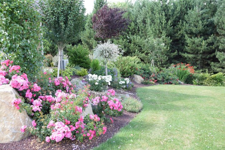 Plante Pour Jardin – Aménagement De Jardin | Paysages Conseil serapportantà Exemple D Aménagement De Jardin