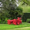 Plantes De Terre De Bruyère : Conseils Pour Bien Réussir Ses ... à Exemple D Aménagement De Jardin