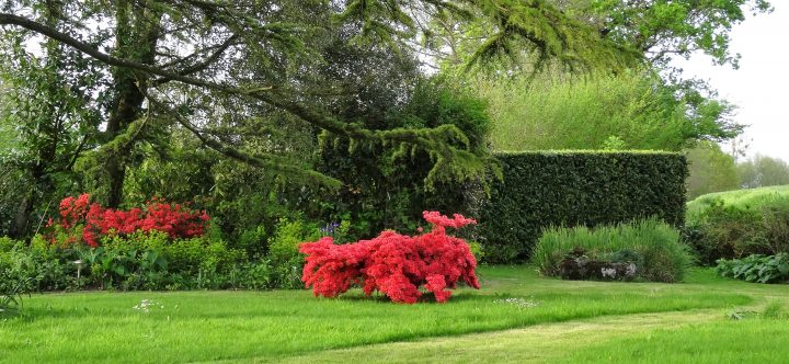 Plantes De Terre De Bruyère : Conseils Pour Bien Réussir Ses … à Exemple D Aménagement De Jardin