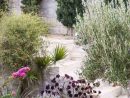 Plantes Et Aménagement Jardin Méditerranéen – 79 Idées encequiconcerne Exemple De Jardin Méditerranéen