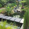 Plantes Pour Bassins Extérieurs | A Flore D'eau Votre ... intérieur Plante Bassin De Jardin
