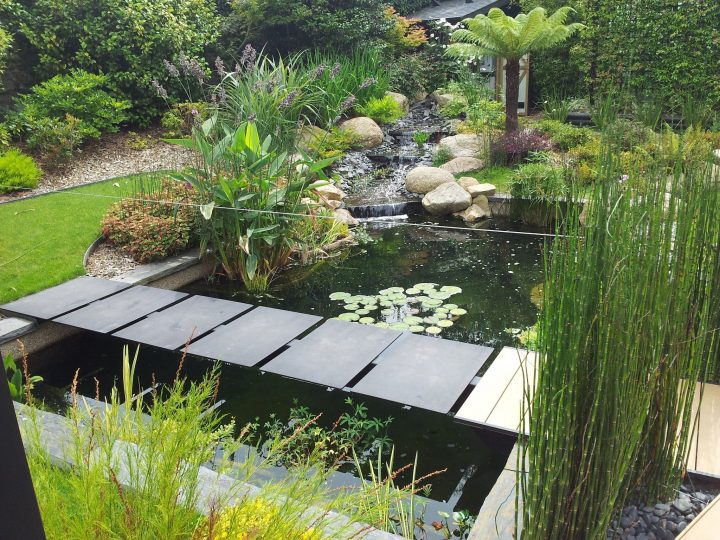 Plantes Pour Bassins Extérieurs | A Flore D'eau Votre … intérieur Plante Bassin De Jardin
