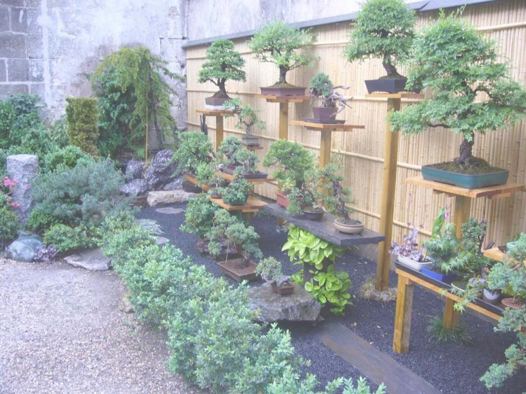 Plantes Pour Jardin Japonais Miniature – Alkotla. pour Plantes Pour Jardin Japonais