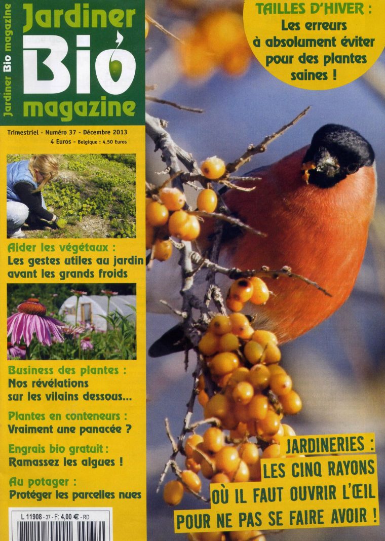 Plathelminthe : Le Ver Invasif Mangeur De Ver De Terre … intérieur Jardiner Bio Magazine