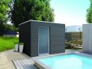 Poolhouse Sur Mesure À Namur Et En Brabant Wallon pour Fabricant Abri De Jardin Belgique