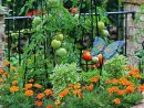 Potager Balcon - Choix De Variétés, Conseils Pratiques ... pour Jardin En Pots Potager