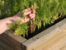 Potager En Hauteur : Le Construire Et Le Cultiver encequiconcerne Fabriquer Un Jardin En Hauteur