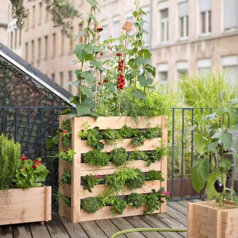Potager Pour Un Balcon : Notre Shopping | Garden, Plants … serapportantà Jardin Urbain Balcon