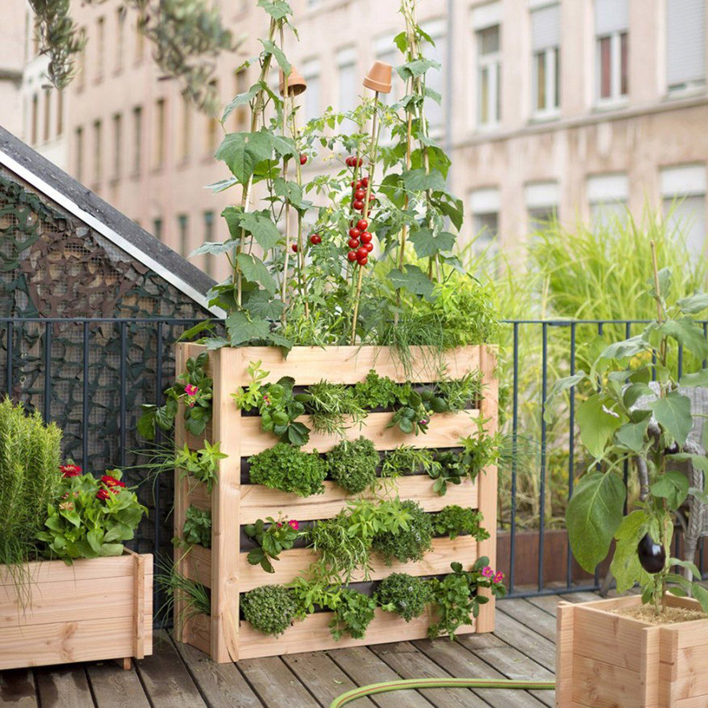 Potager Pour Un Balcon : Notre Shopping | Garden, Plants ... serapportantà Jardin Urbain Balcon