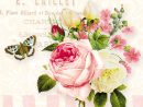 Ppd Jardin Rose Napkins, 20 Pieces, Table Napkins, Tissue, Colorful, 33 X  33 Cm, 6278 At About-Tea.de Shop encequiconcerne Table Jardin Rose