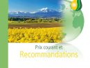 Prix Courant Et Recommandations 2019 By Stähler Suisse Sa ... concernant Desherbant Gazon Bayer Jardin