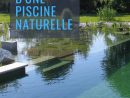 Prix D'une Piscine Naturelle | Piscine, Piscine Bassin Et ... encequiconcerne Prix D Un Bassin De Jardin