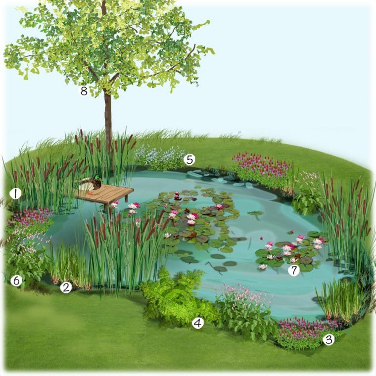 Projet Aménagement Jardin : Bassin Naturel Au Jardin ... encequiconcerne Aménagement Bassin De Jardin